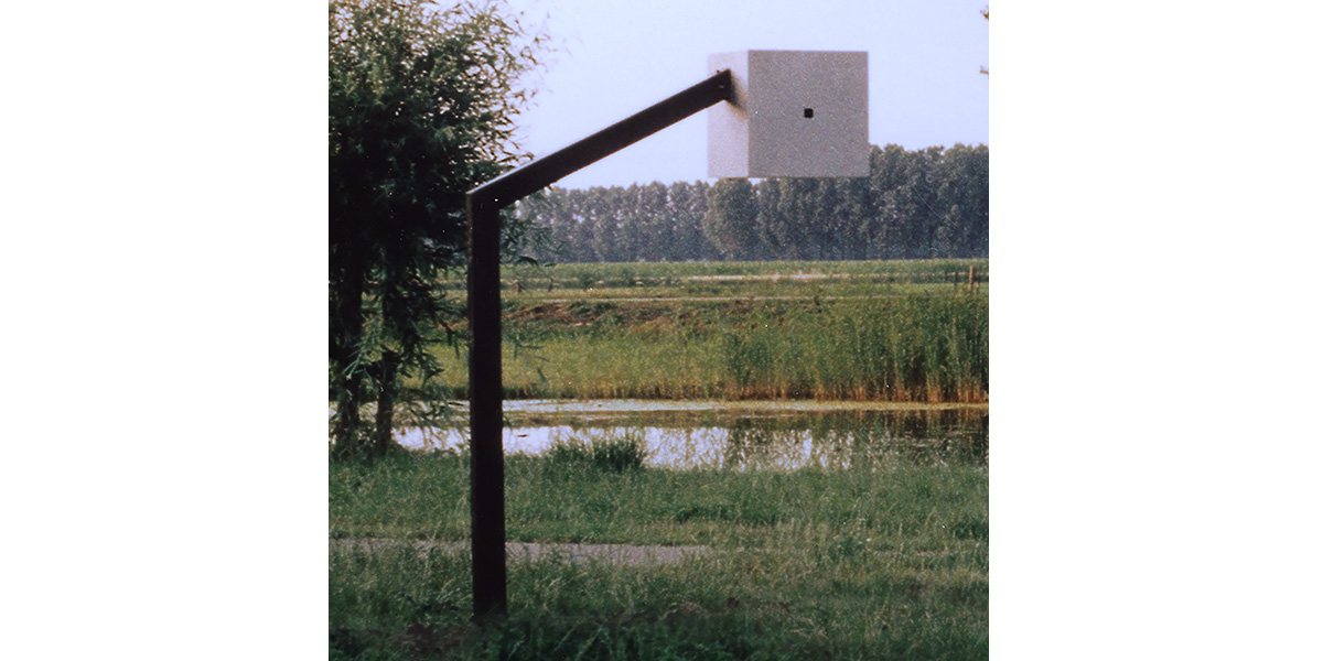 blik van verlangen